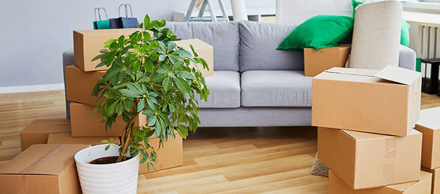 Local Shifting Services 